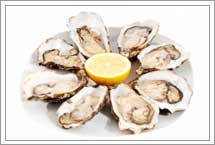 Wholesale Oysters
